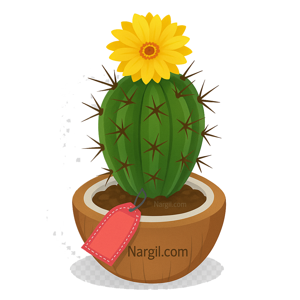  Nargil - Hedgehog cactus